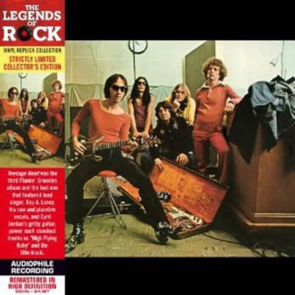 TEENAGE HEAD