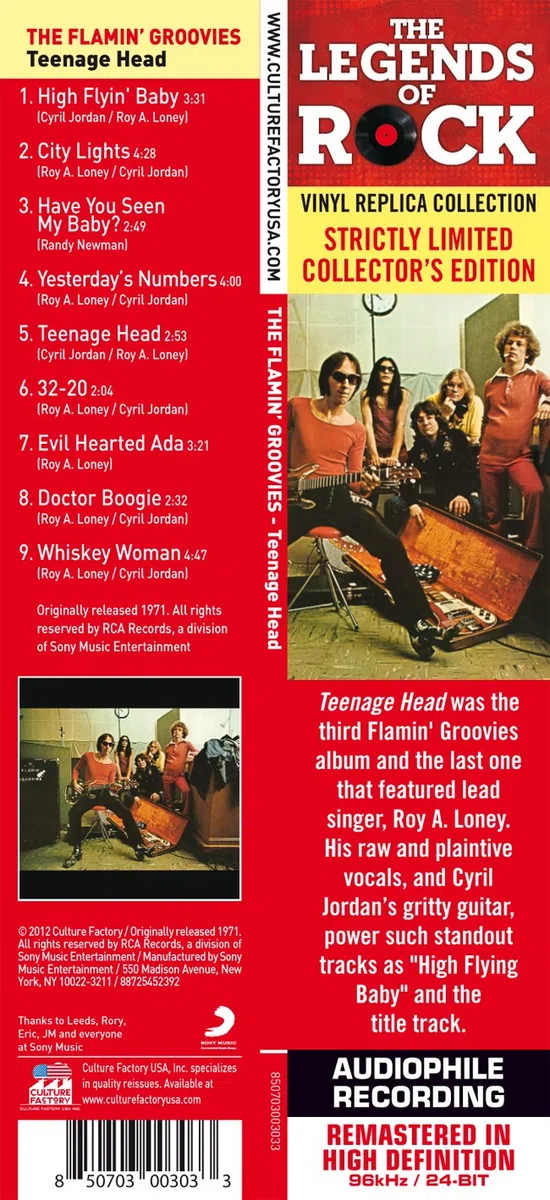TEENAGE HEAD